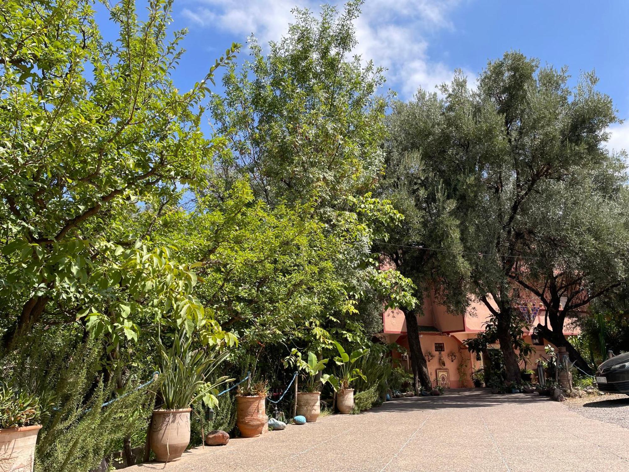 Villa De L'Atlas Tagadirt Kültér fotó